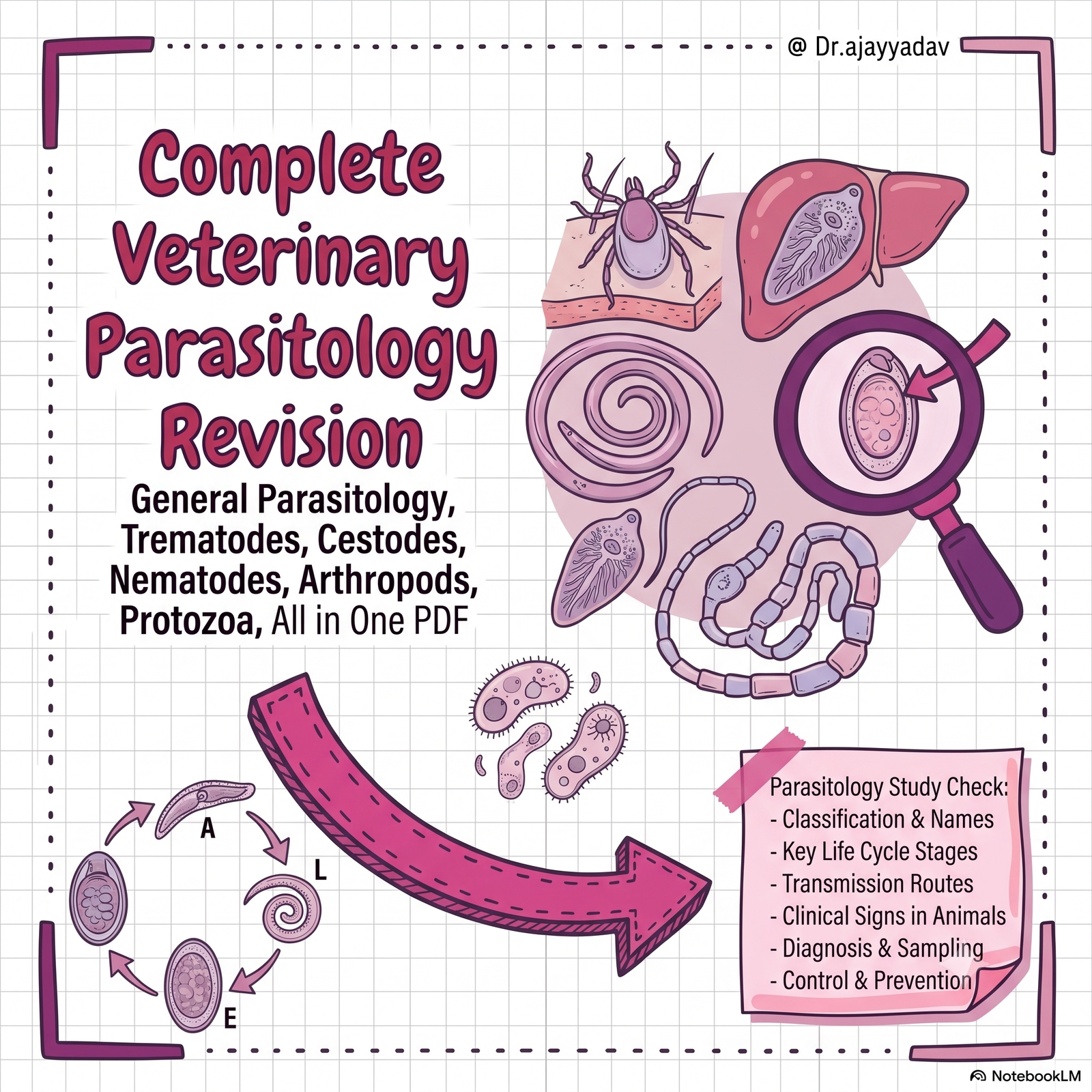 Complete Veterinary Parasitology Revision: All-in-One Exam PDF
