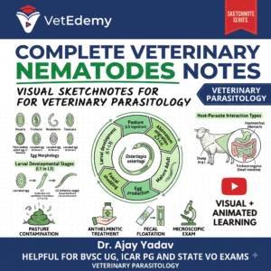 COMPLETE VETERINARY NEMATODES COLOURFUL SKETCHBOOK NOTES FOR VETERINARY PARASITOLOGY